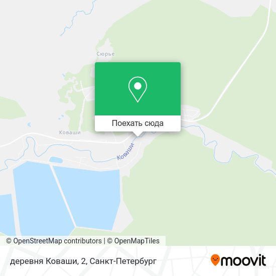 Карта деревня Коваши, 2