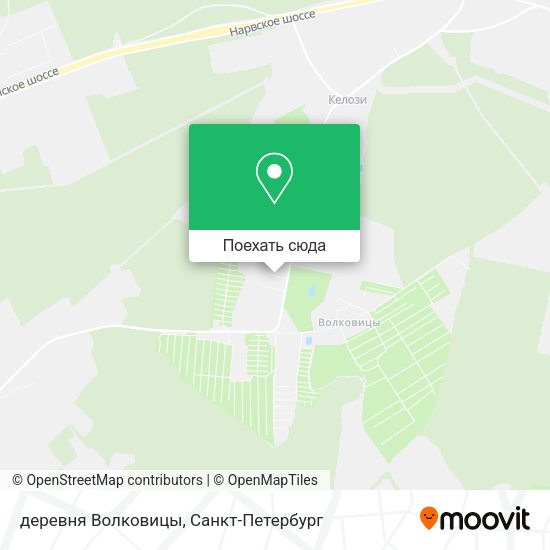 Карта деревня Волковицы