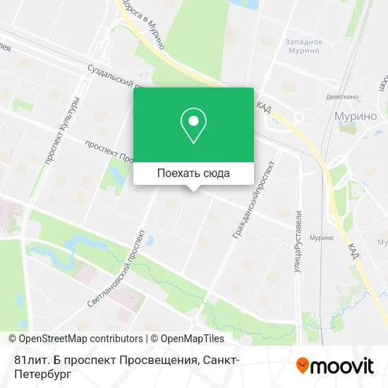 Карта 81лит. Б проспект Просвещения