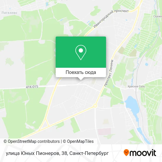 Карта улица Юных Пионеров, 38