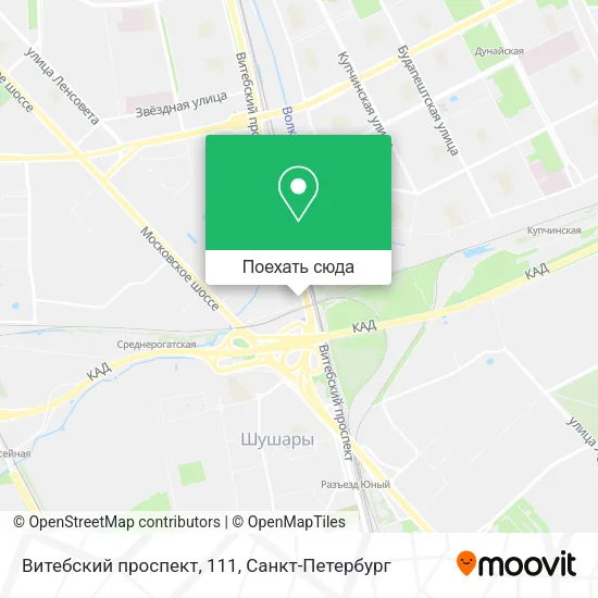 Карта Витебский проспект, 111