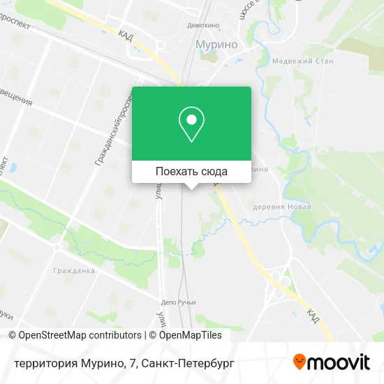 Карта территория Мурино, 7