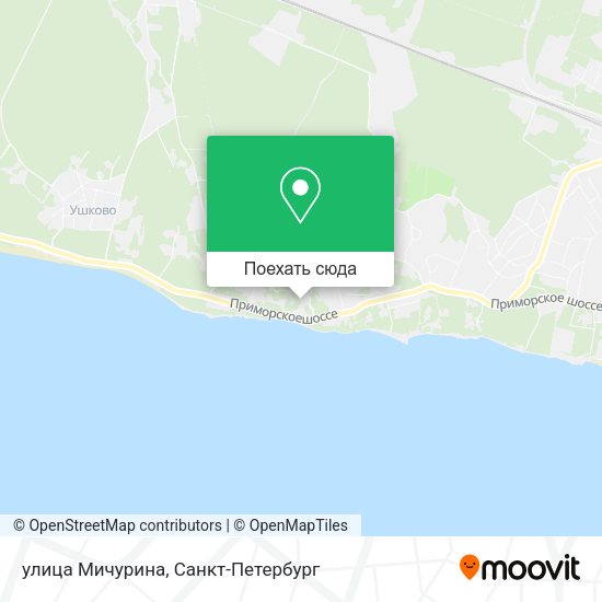 Карта улица Мичурина
