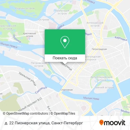 Карта д. 22 Пионерская улица