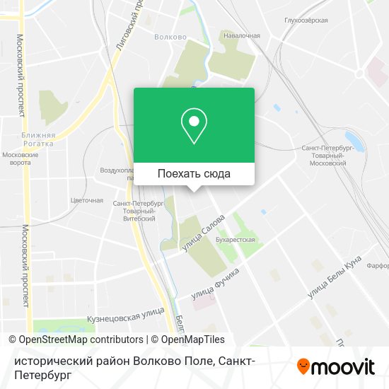 Карта исторический район Волково Поле