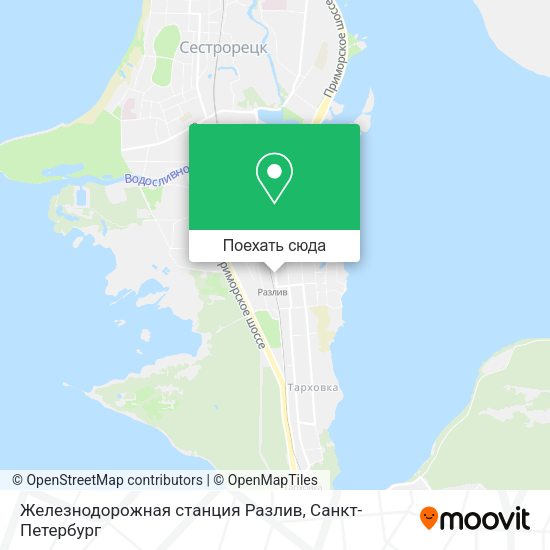 Карта Железнодорожная станция Разлив