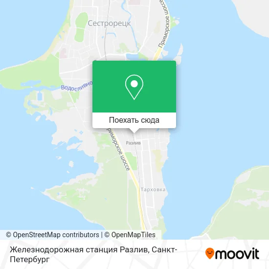 Карта Железнодорожная станция Разлив