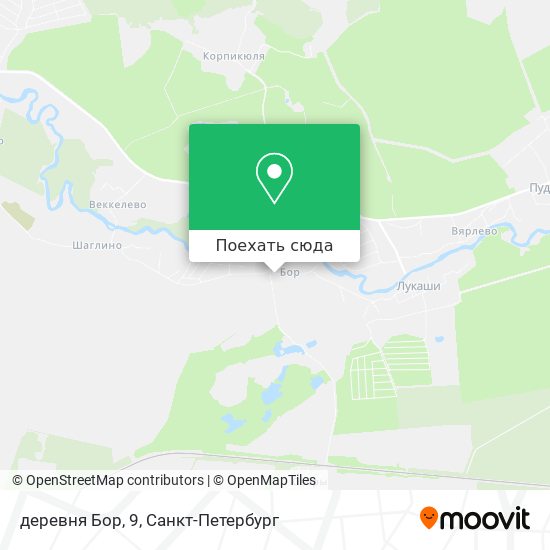 Зеленый бор индекс