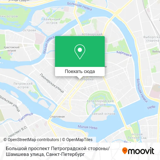 Карта Большой проспект Петроградской стороны / Шамшева улица