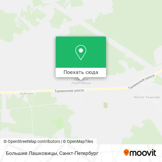 Карта Большие Лашковицы