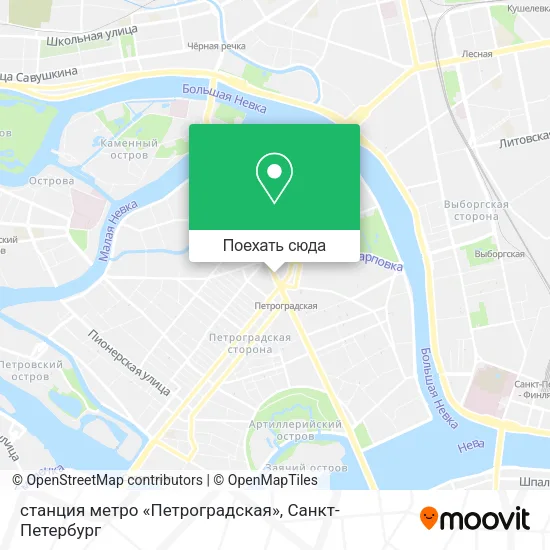 Карта станция метро «Петроградская»