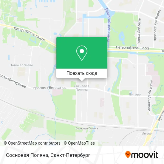 Карта Сосновая Поляна