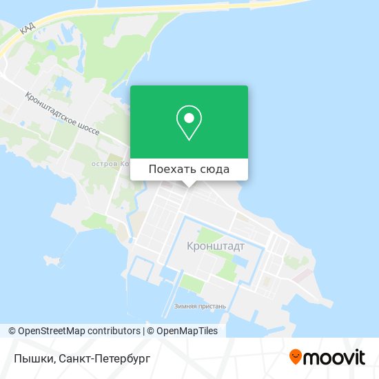 Карта Пышки