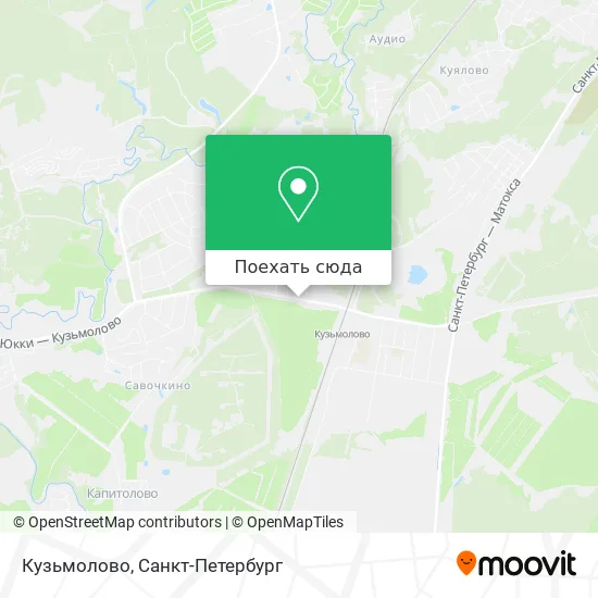 Карта Кузьмолово