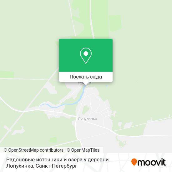 Карта Радоновые источники и озёра у деревни Лопухинка