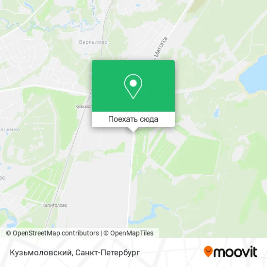 Карта Кузьмоловский