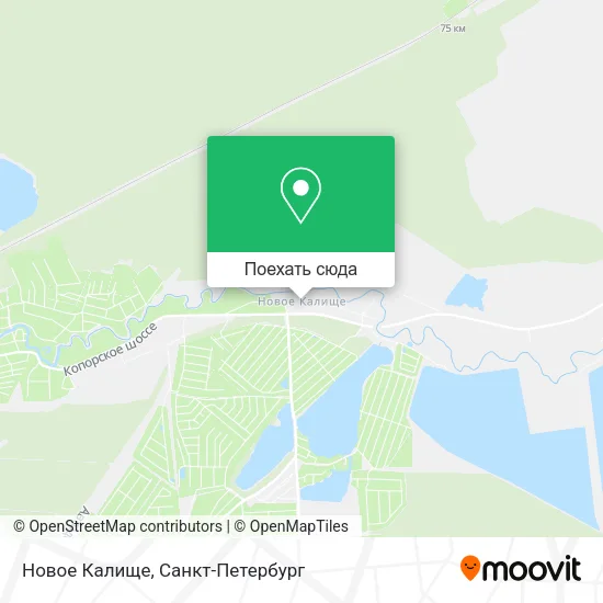 Карта Новое Калище