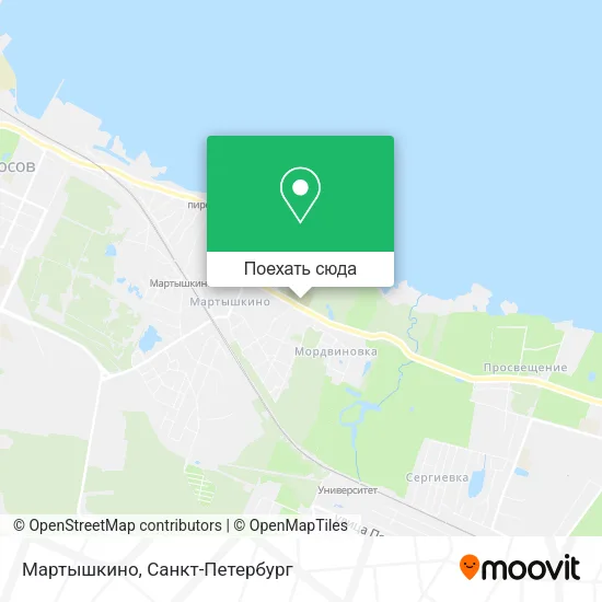 Карта Мартышкино