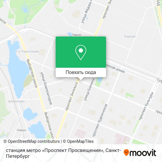 Карта станция метро «Проспект Просвещения»