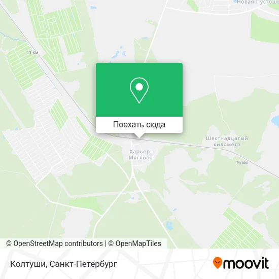 Карта Колтуши