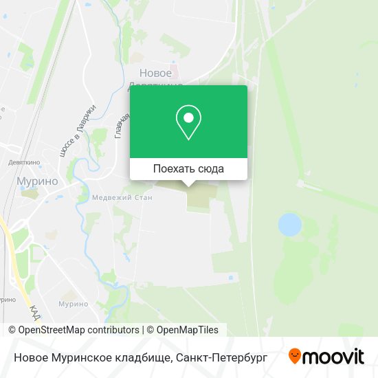 Карта Новое Муринское кладбище