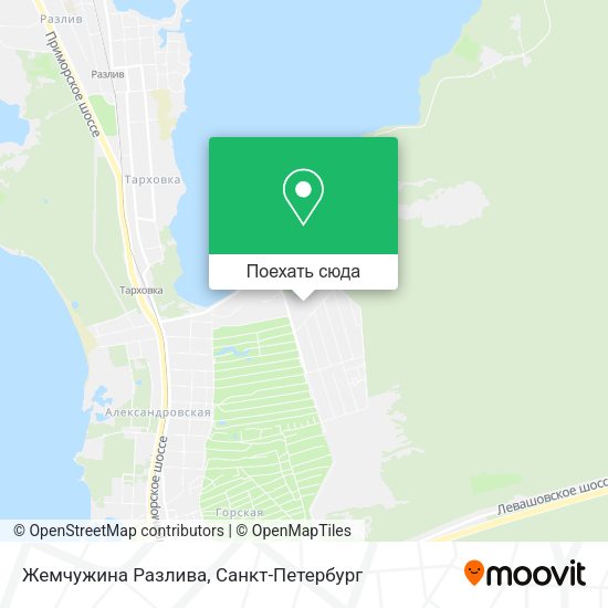 Карта Жемчужина Разлива
