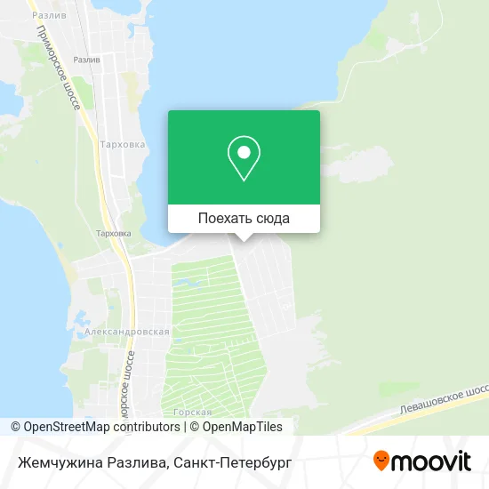 Карта Жемчужина Разлива