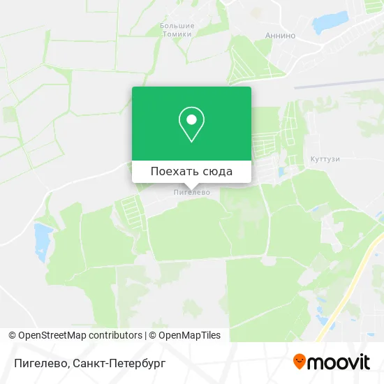 Карта Пигелево