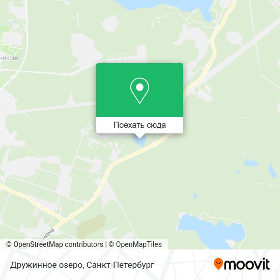 Карта Дружинное озеро