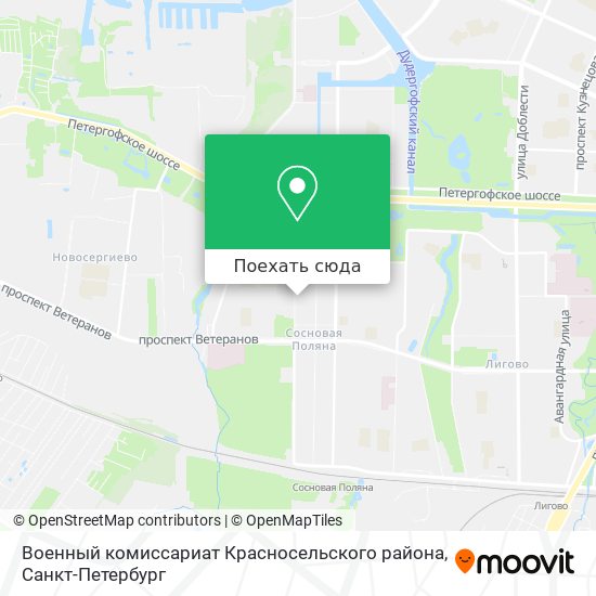 Сосновая поляна санкт петербург на карте