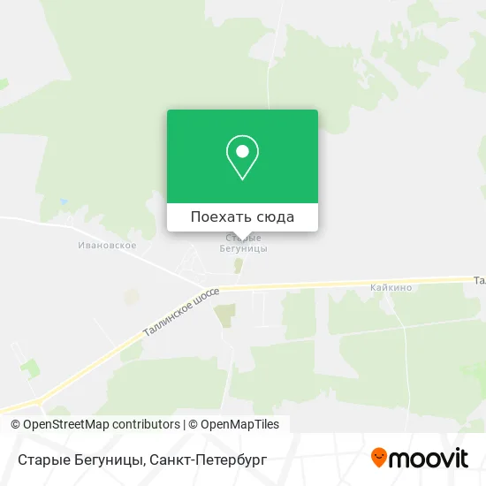 Карта Старые Бегуницы