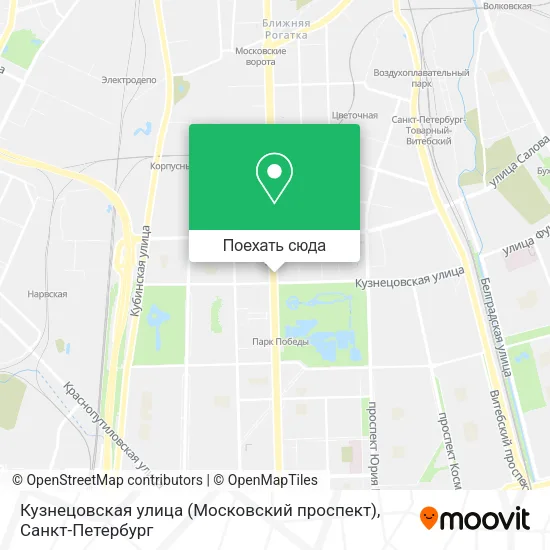 Карта Кузнецовская улица (Московский проспект)