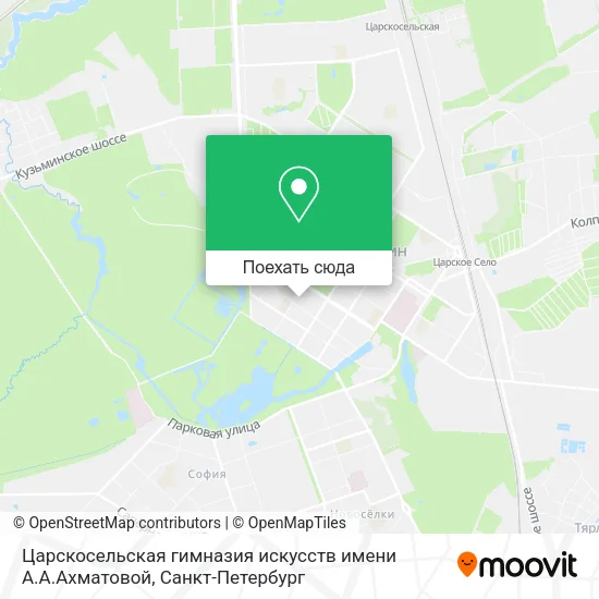 Карта Царскосельская гимназия искусств имени А.А.Ахматовой
