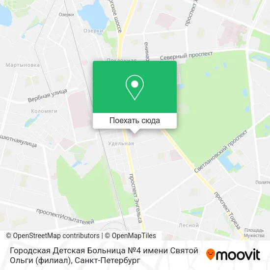 Карта Городская Детская Больница №4 имени Святой Ольги (филиал)