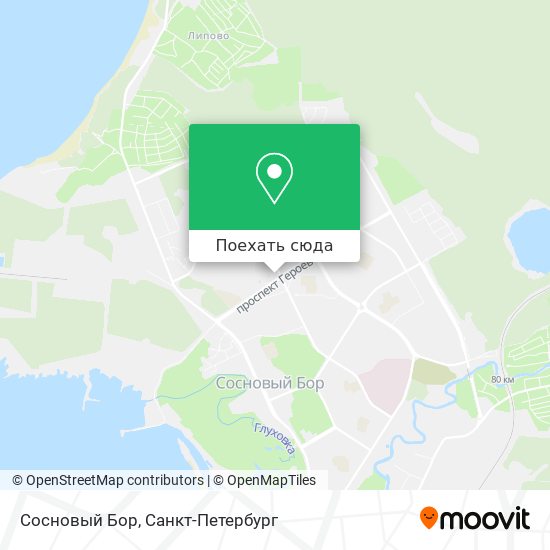 Карта Сосновый Бор