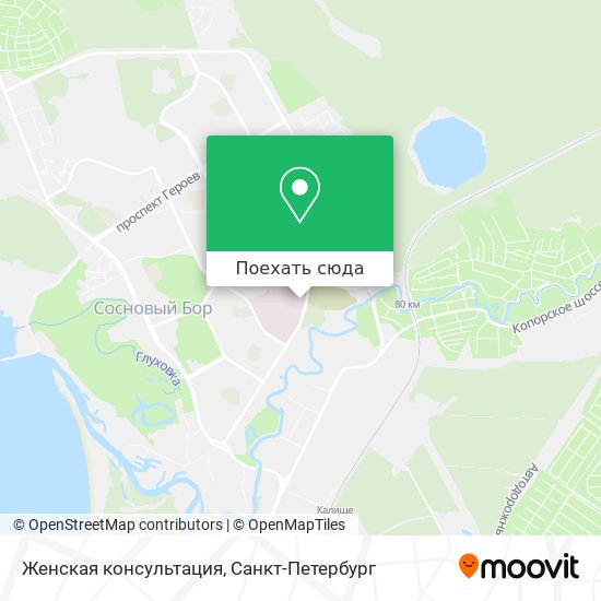 Карта Женская консультация