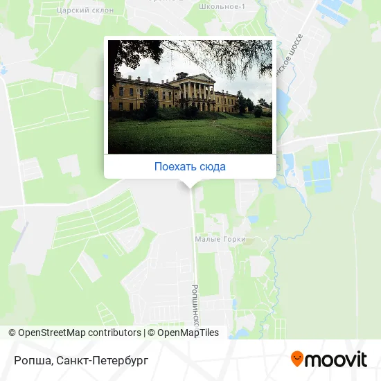Карта Ропша