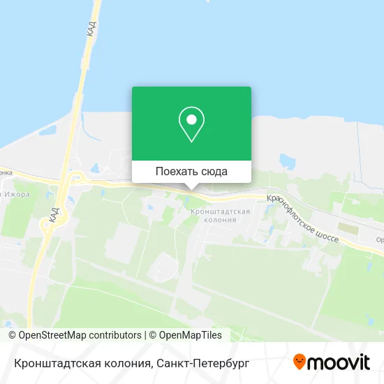 Карта Кронштадтская колония