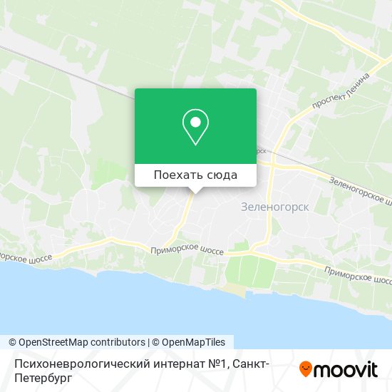 Карта Психоневрологический интернат №1