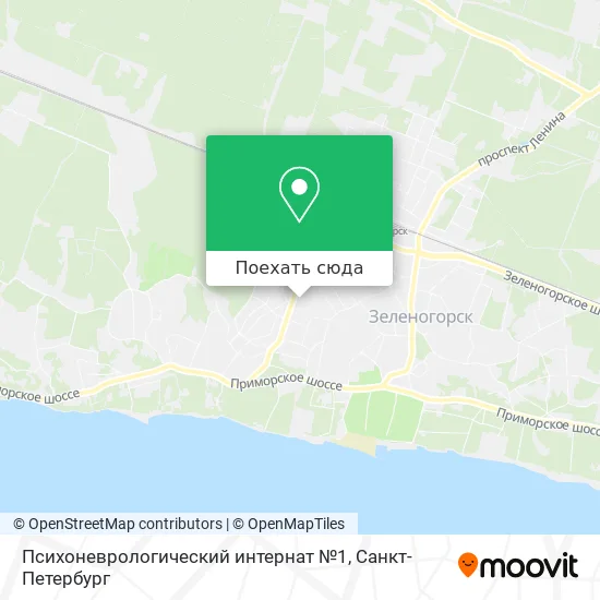 Карта Психоневрологический интернат №1