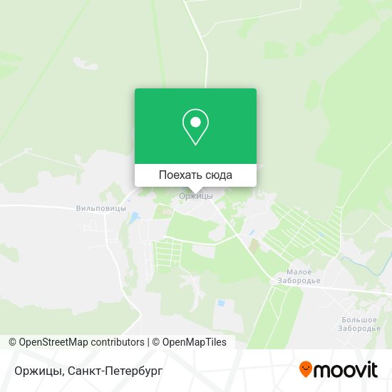 Карта Оржицы