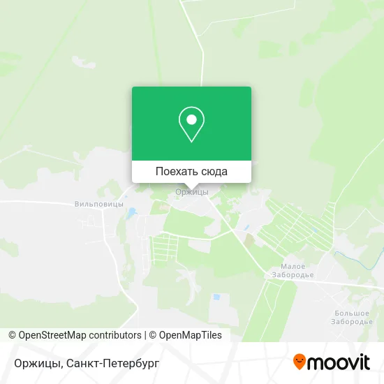Карта Оржицы