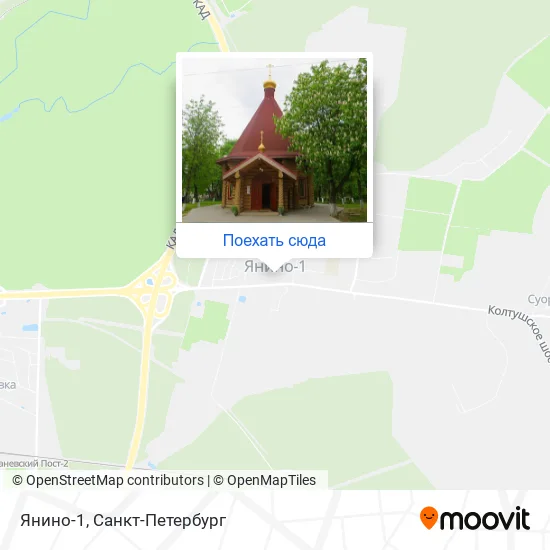 Карта Янино-1