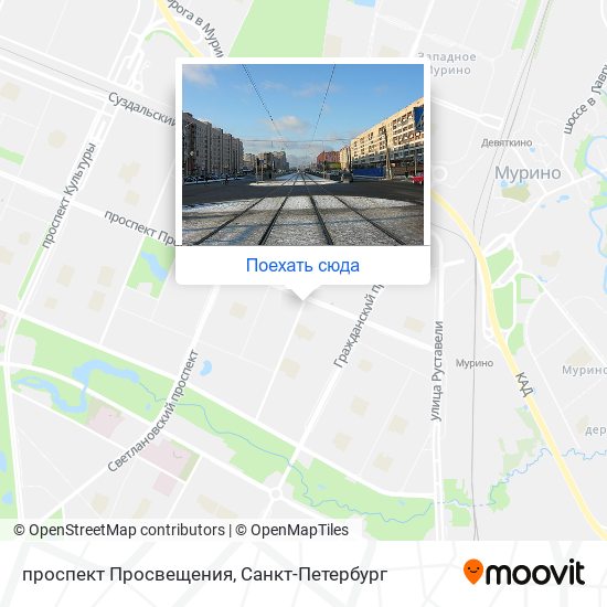 Метро проспект просвещения санкт петербург на карте