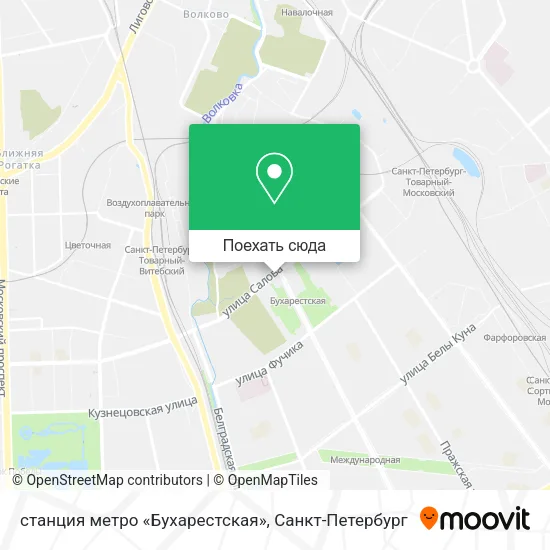 Карта станция метро «Бухарестская»