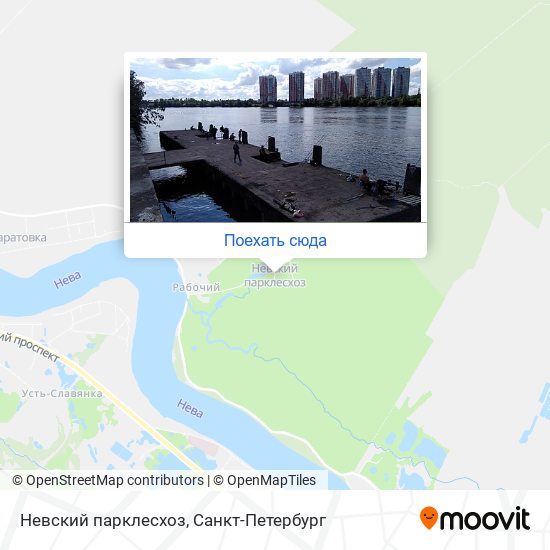 Карта Невский парклесхоз