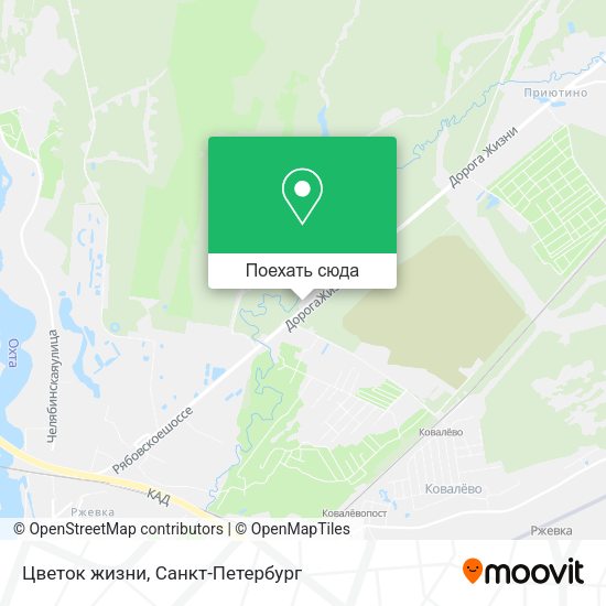 Карта Цветок жизни
