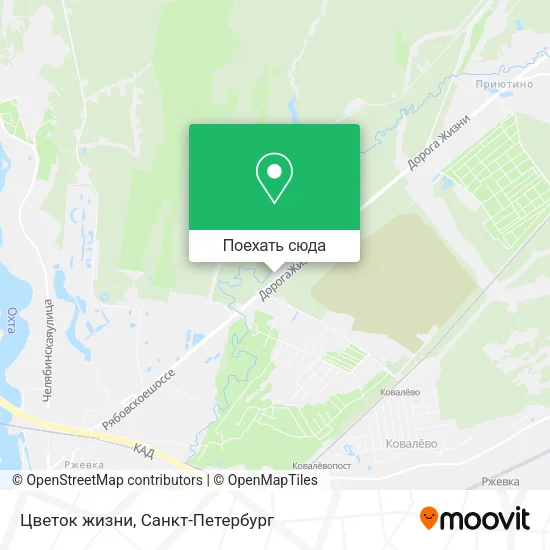 Карта Цветок жизни