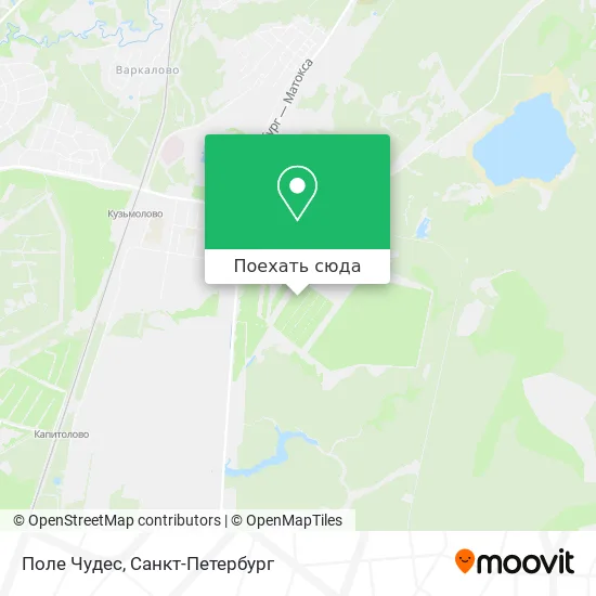 Карта Поле Чудес