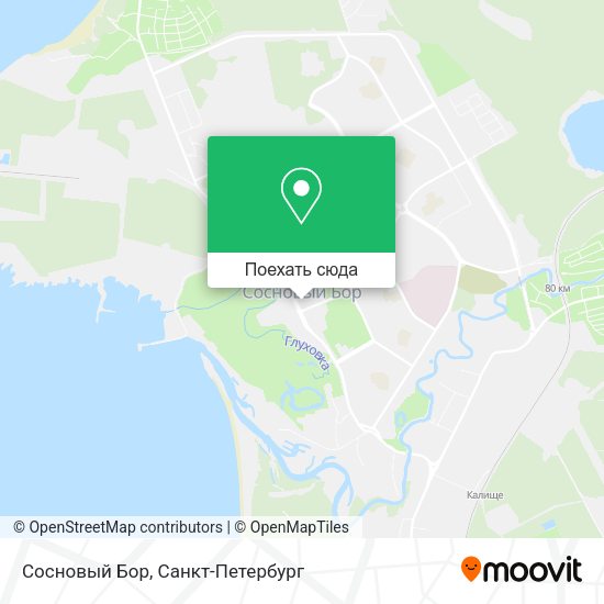 Карта Сосновый Бор